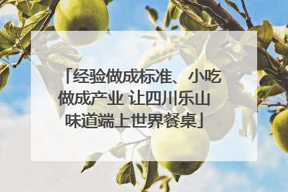 经验做成标准、小吃做成产业 让四川乐山味道端上世界餐桌