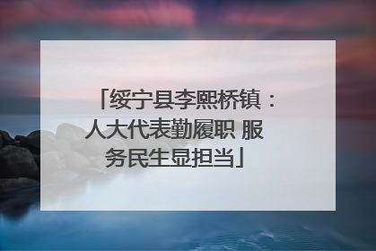 绥宁县李熙桥镇：人大代表勤履职 服务民生显担当
