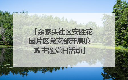 余家头社区安胜花园片区党支部开展廉政主题党日活动