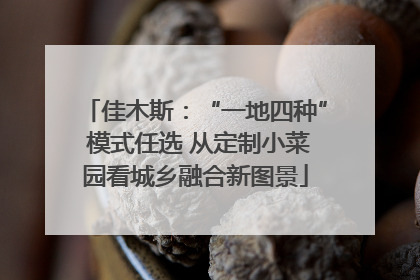 佳木斯：“一地四种” 模式任选 从定制小菜园看城乡融合新图景