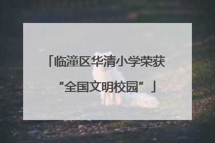 临潼区华清小学荣获“全国文明校园”