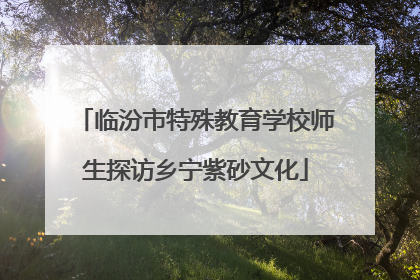临汾市特殊教育学校师生探访乡宁紫砂文化