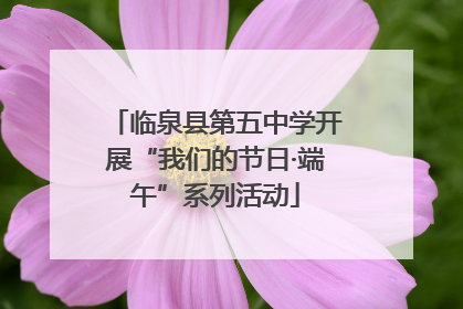 临泉县第五中学开展“我们的节日·端午”系列活动