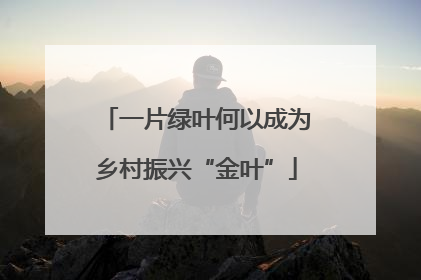 一片绿叶何以成为乡村振兴“金叶”