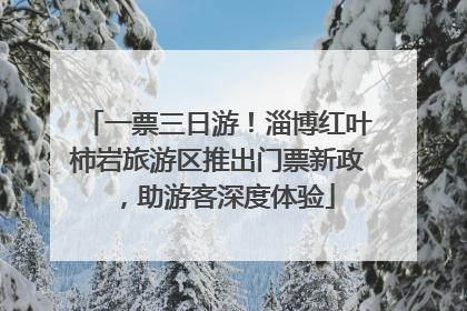 一票三日游！淄博红叶柿岩旅游区推出门票新政，助游客深度体验