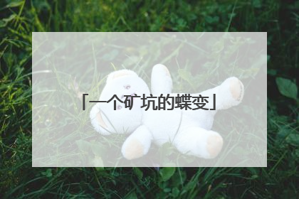 一个矿坑的蝶变