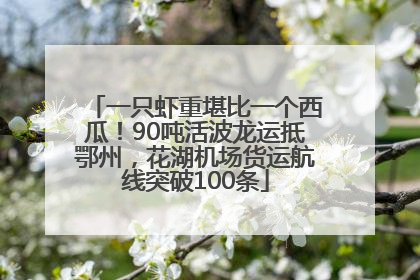 一只虾重堪比一个西瓜！90吨活波龙运抵鄂州，花湖机场货运航线突破100条