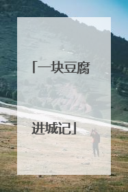 一块豆腐进城记
