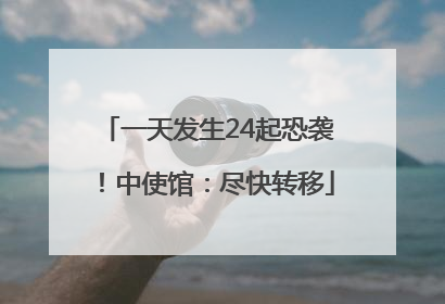 一天发生24起恐袭！中使馆：尽快转移