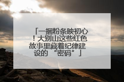一捆粉条映初心！大别山这些红色故事里藏着纪律建设的 “密码”