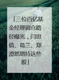 三位百亿基金经理调仓路径曝光，闫思倩、葛兰、郑澄然增持这些股