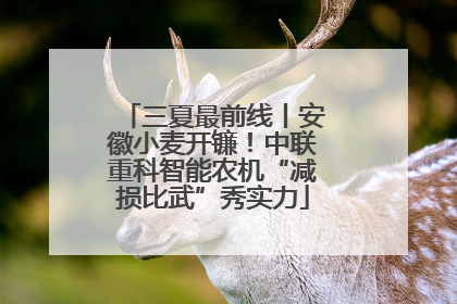 三夏最前线丨安徽小麦开镰！中联重科智能农机“减损比武”秀实力