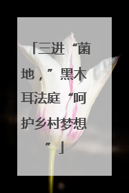 三进“菌地，”黑木耳法庭“呵护乡村梦想”