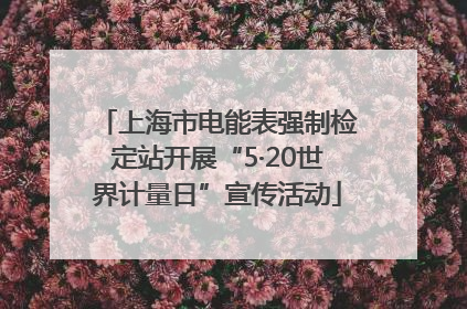 上海市电能表强制检定站开展“5·20世界计量日”宣传活动