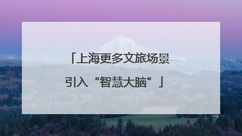 上海更多文旅场景引入“智慧大脑”