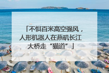 不惧百米高空强风，人形机器人在燕矶长江大桥走“猫道”