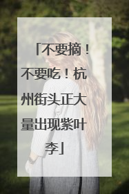 不要摘！不要吃！杭州街头正大量出现紫叶李
