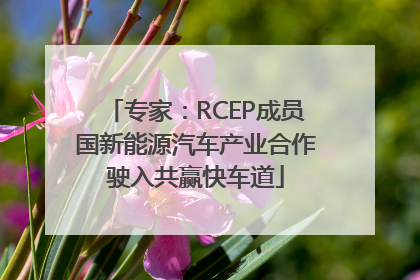 专家：RCEP成员国新能源汽车产业合作驶入共赢快车道