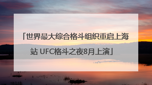世界最大综合格斗组织重启上海站 UFC格斗之夜8月上演
