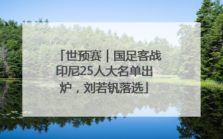 世预赛｜国足客战印尼25人大名单出炉，刘若钒落选