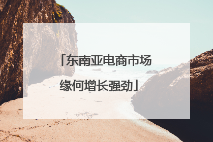 东南亚电商市场缘何增长强劲