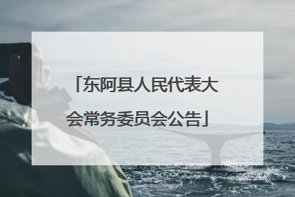 东阿县人民代表大会常务委员会公告