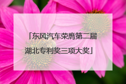 东风汽车荣膺第二届湖北专利奖三项大奖