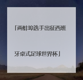 两蚌埠选手出征西班牙桌式足球世界杯