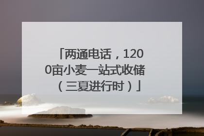 两通电话，1200亩小麦一站式收储（三夏进行时）