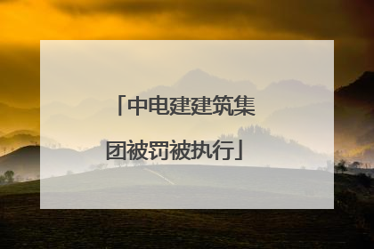 中电建建筑集团被罚被执行