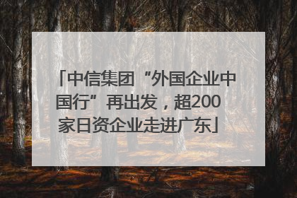 中信集团“外国企业中国行”再出发，超200家日资企业走进广东