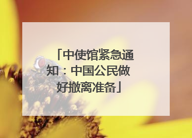 中使馆紧急通知：中国公民做好撤离准备