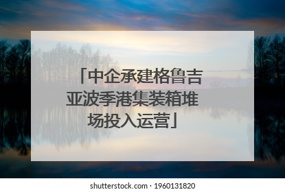 中企承建格鲁吉亚波季港集装箱堆场投入运营