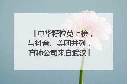 中华籽粒苋上榜，与抖音、美团并列，育种公司来自武汉