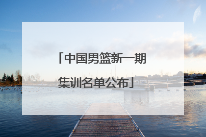 中国男篮新一期集训名单公布