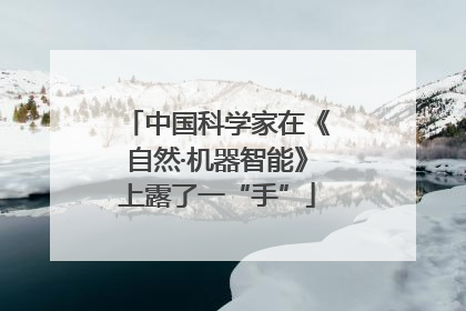 中国科学家在《自然·机器智能》上露了一“手”