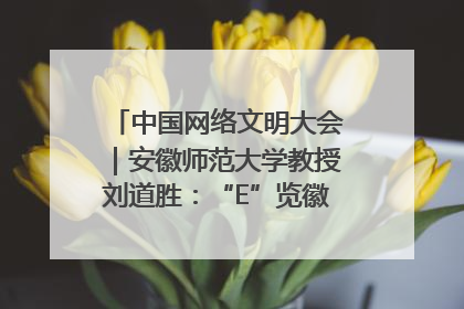 中国网络文明大会｜安徽师范大学教授刘道胜：“E”览徽风，构筑中华民族共有精神家园