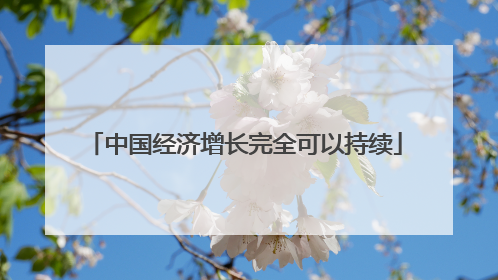 中国经济增长完全可以持续