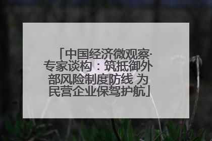 中国经济微观察·专家谈构：筑抵御外部风险制度防线 为民营企业保驾护航