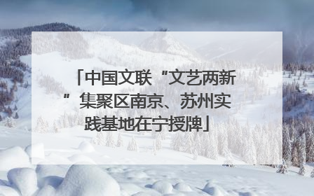 中国文联“文艺两新”集聚区南京、苏州实践基地在宁授牌