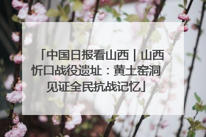 中国日报看山西｜山西忻口战役遗址：黄土窑洞见证全民抗战记忆