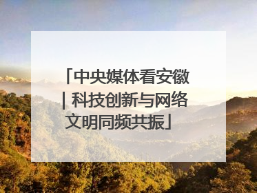中央媒体看安徽｜科技创新与网络文明同频共振