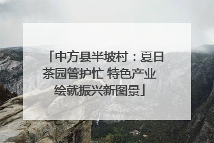 中方县半坡村：夏日茶园管护忙 特色产业绘就振兴新图景