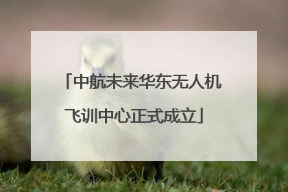 中航未来华东无人机飞训中心正式成立