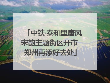 中铁·泰和里唐风宋韵主题街区开市 郑州再添好去处