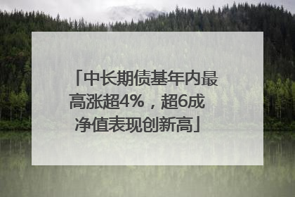 中长期债基年内最高涨超4%，超6成净值表现创新高