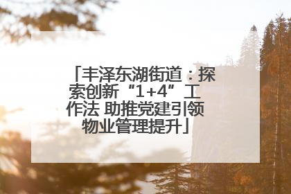 丰泽东湖街道：探索创新“1+4”工作法 助推党建引领物业管理提升