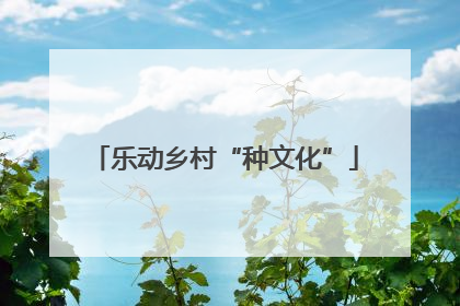乐动乡村“种文化”