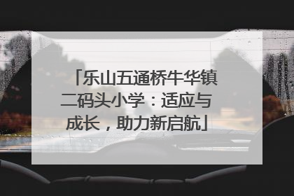乐山五通桥牛华镇二码头小学：适应与成长，助力新启航