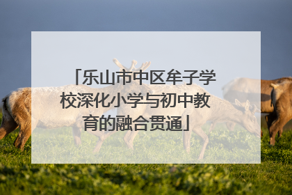 乐山市中区牟子学校深化小学与初中教育的融合贯通